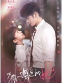 CHH1891 : My Special Girl เธอพิเศษใส่ไข่ (2024) (2ภาษา) DVD 4 แผ่น