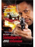 EE1005 : Absolute Deception โคตรมือปราบกัดไม่ปล่อย DVD Master 1 แผ่นจบ